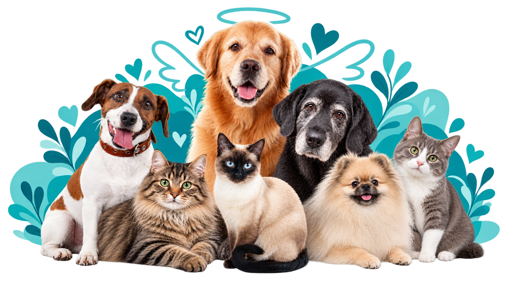 Grupo de pets